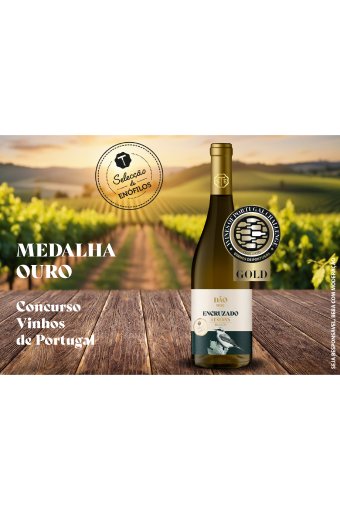 Especial Vinhos Selecção de Enófilos/
