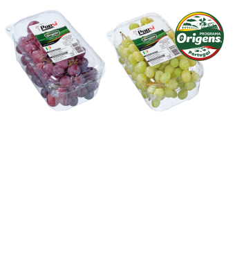 Uvas